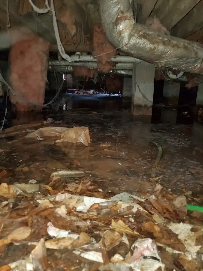 Crawl space flood assessment for Leak Detection & Repair in Selma