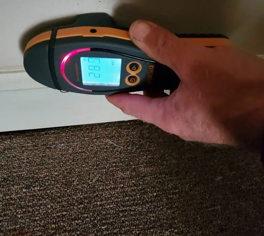 Moisture detection at baseboard during Sewage Cleanup & Sanitation in Selma